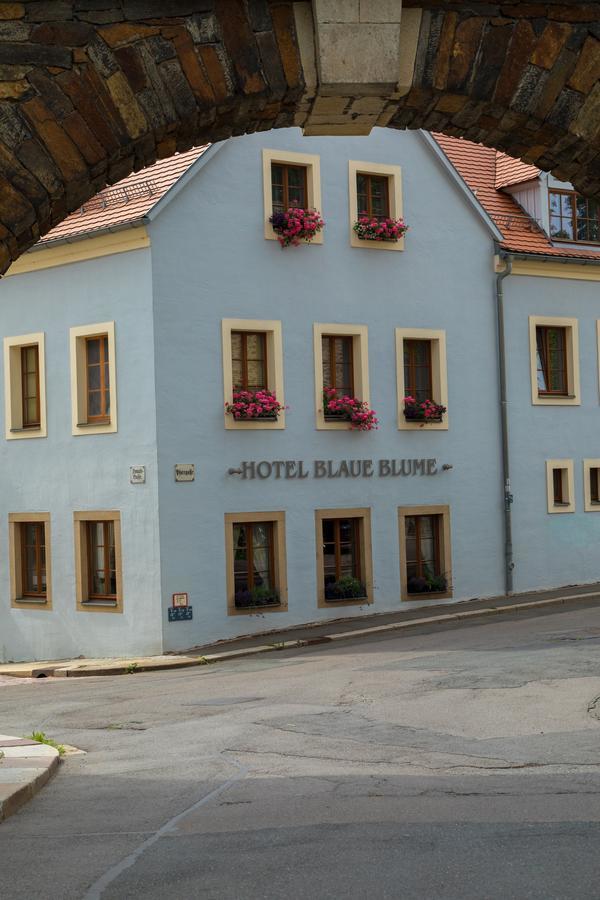 Hotel Blaue Blume Freiberg Extérieur photo